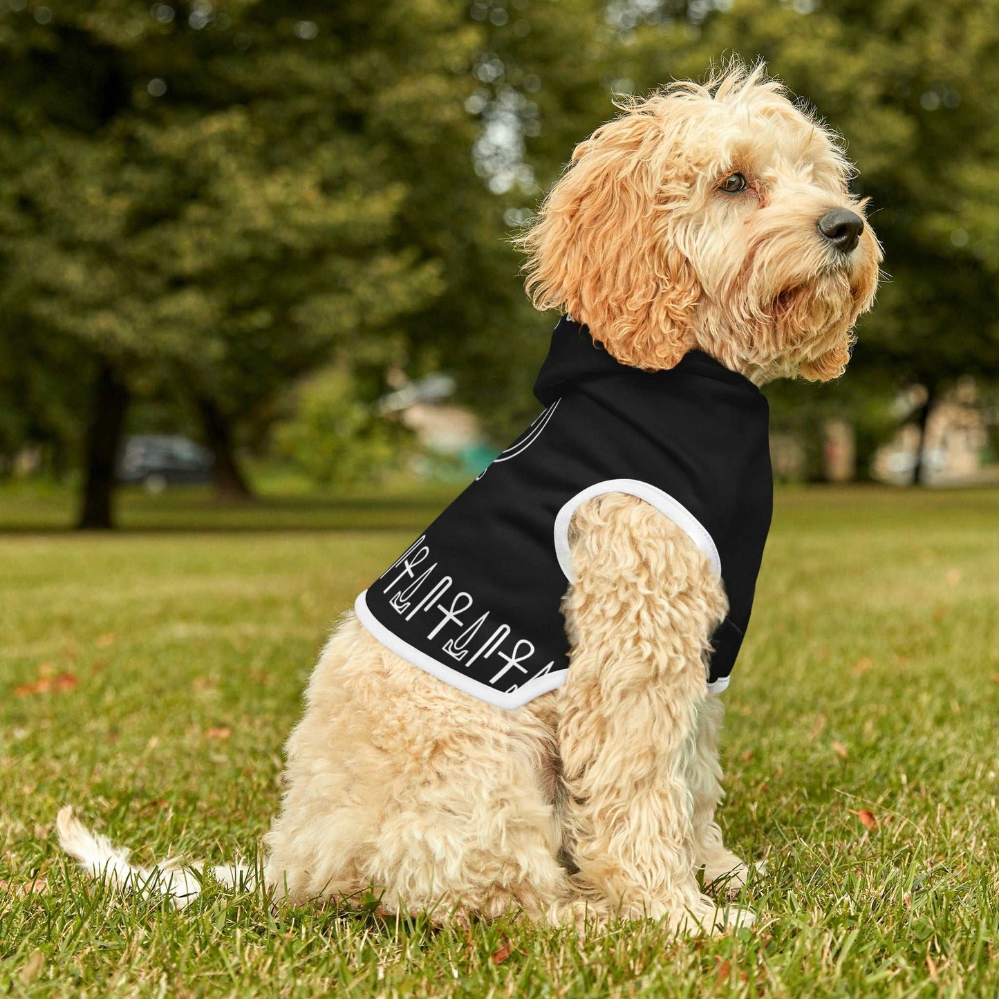 Black Living Horus Dog Hoodie