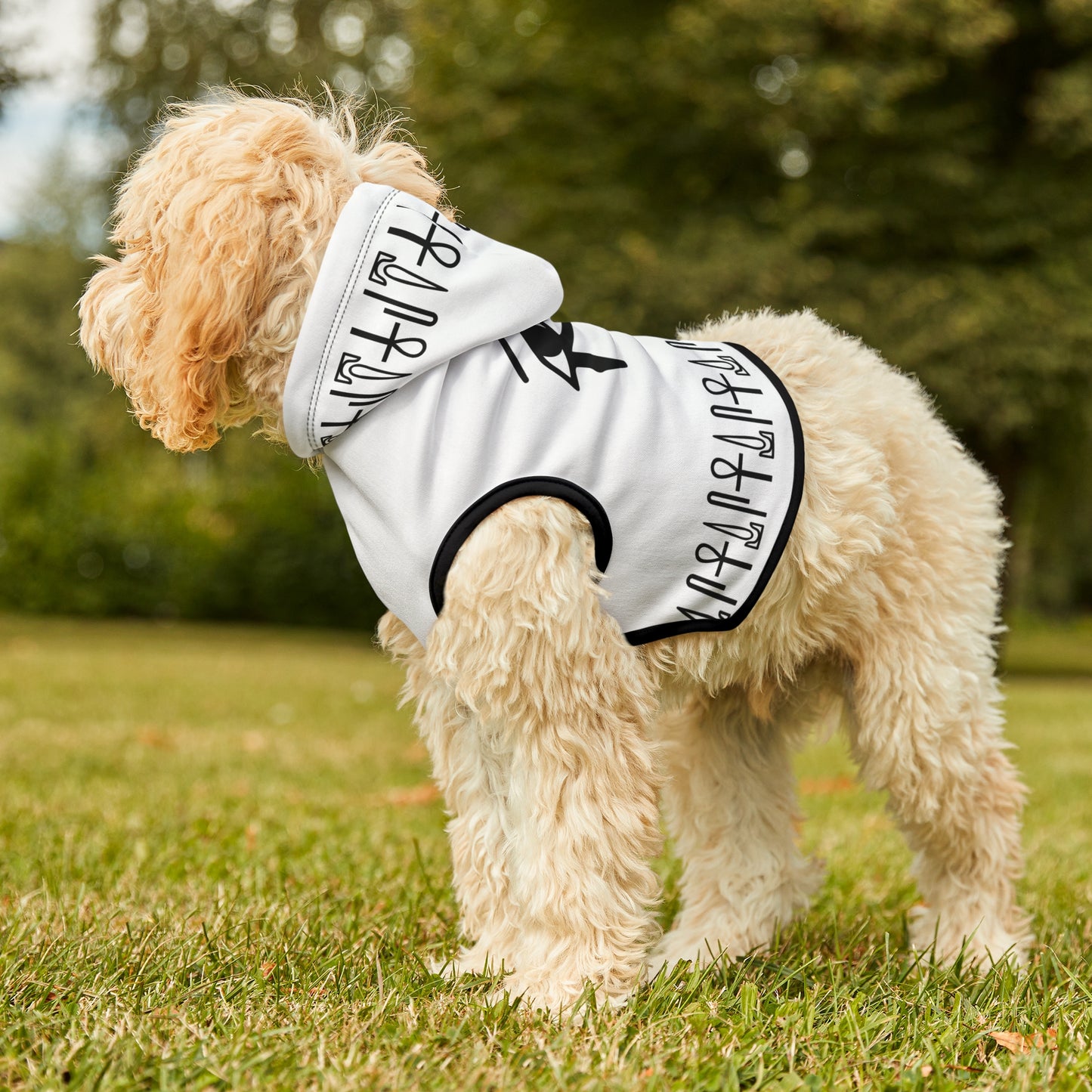 White Eye of Horus Dog Hoodie