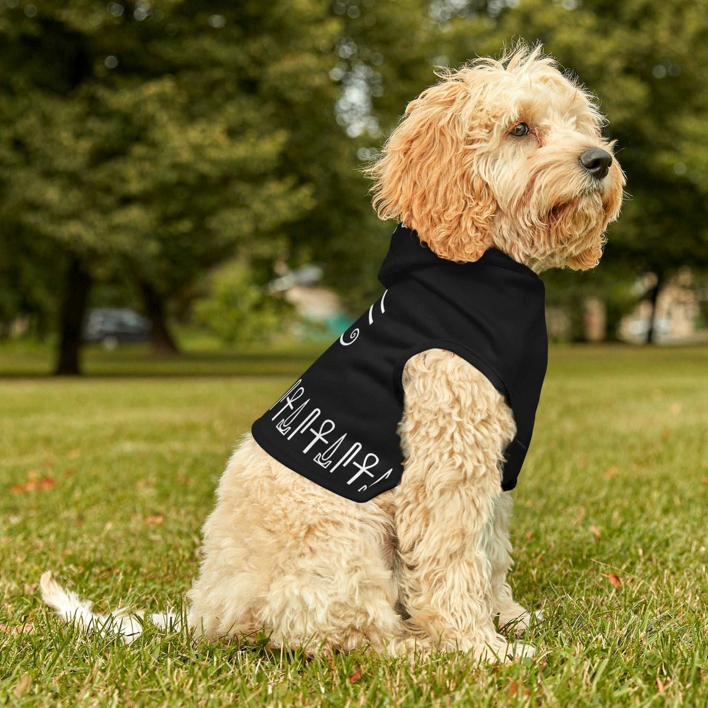 Black Eye of Horus Dog Hoodie