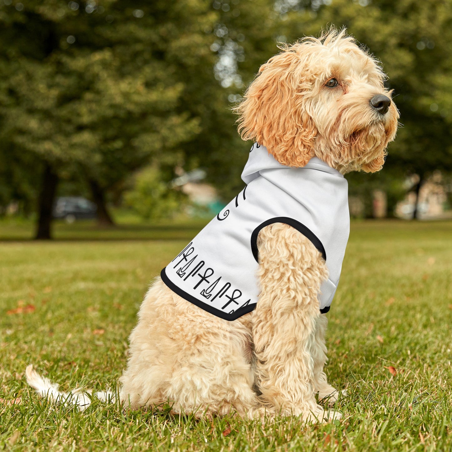 White Eye of Horus Dog Hoodie