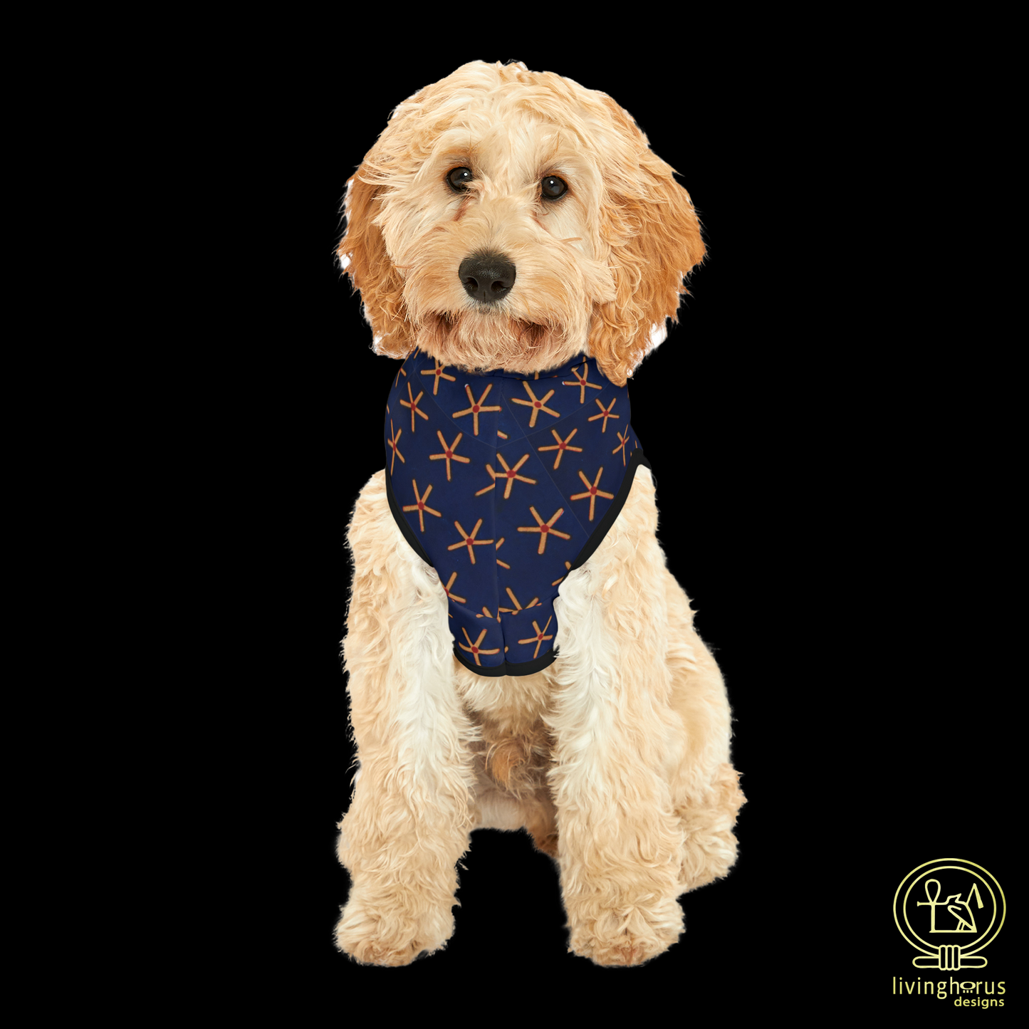 Egyptian Starry Sky Pet Hoodie