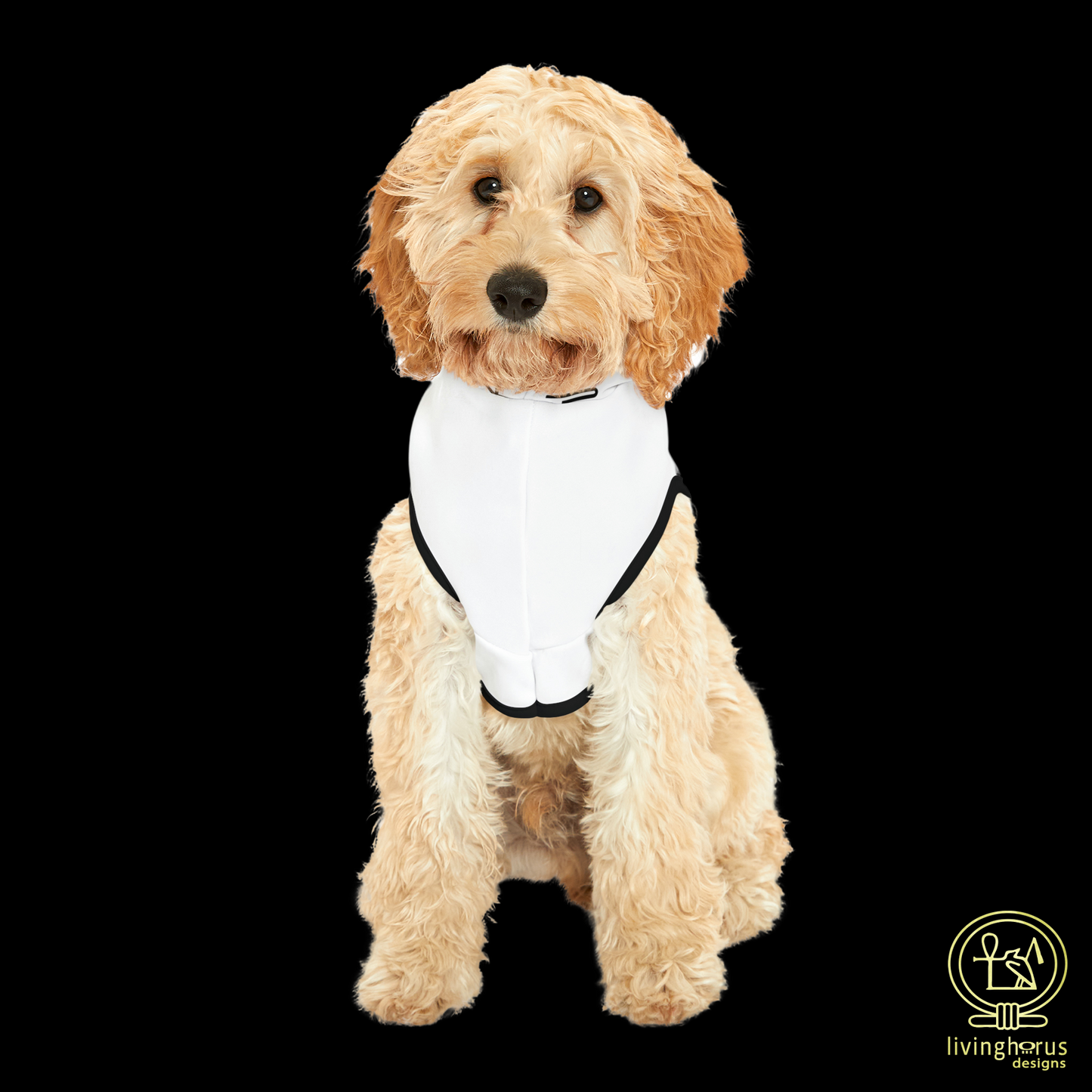 White Eye of Horus Dog Hoodie