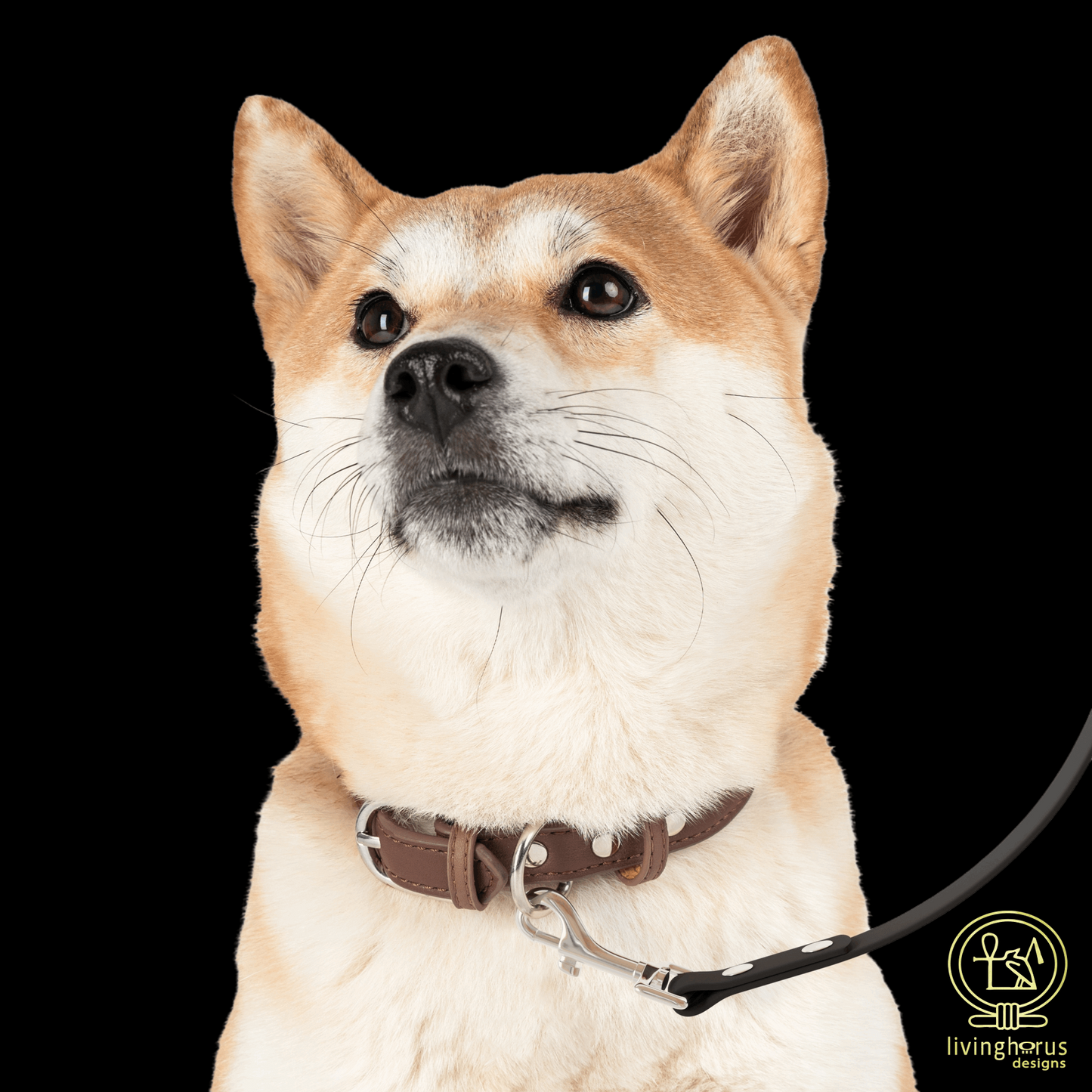 Ancient Egyptian Rishi Pattern Dog Leash