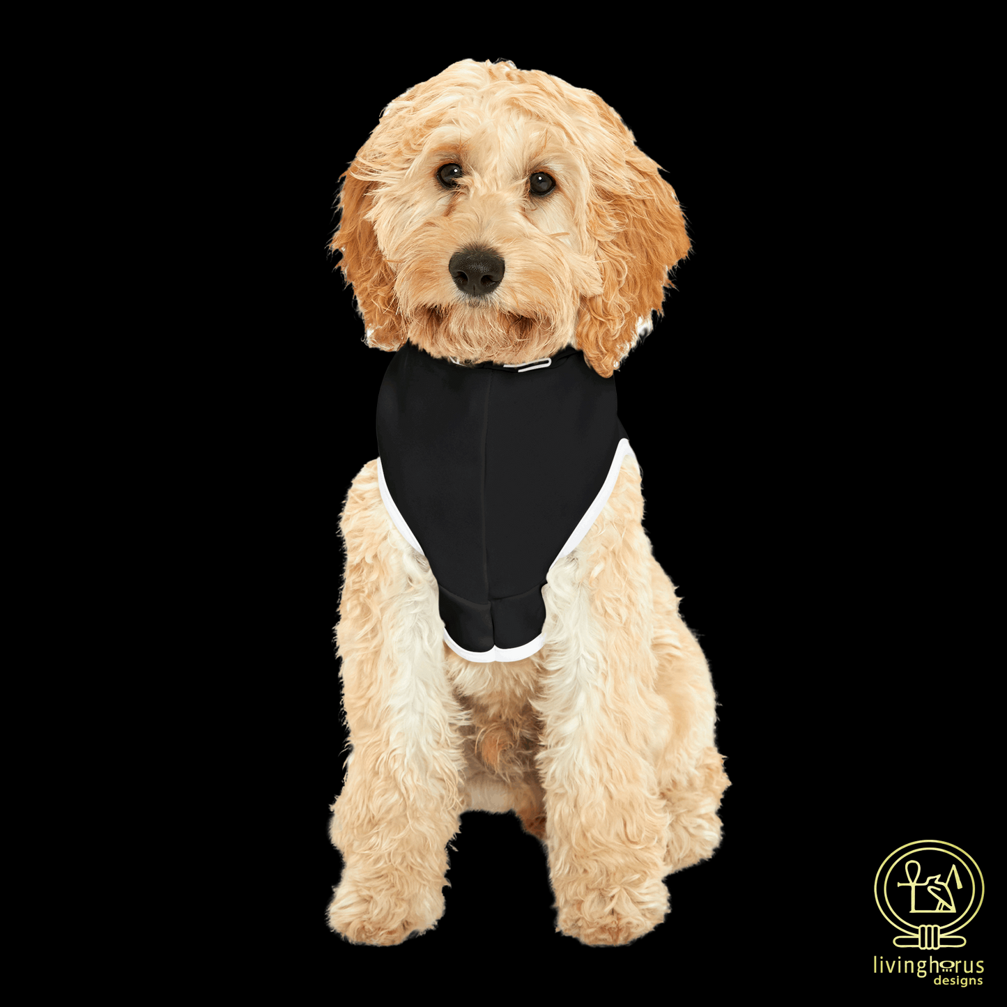 Black Living Horus Dog Hoodie
