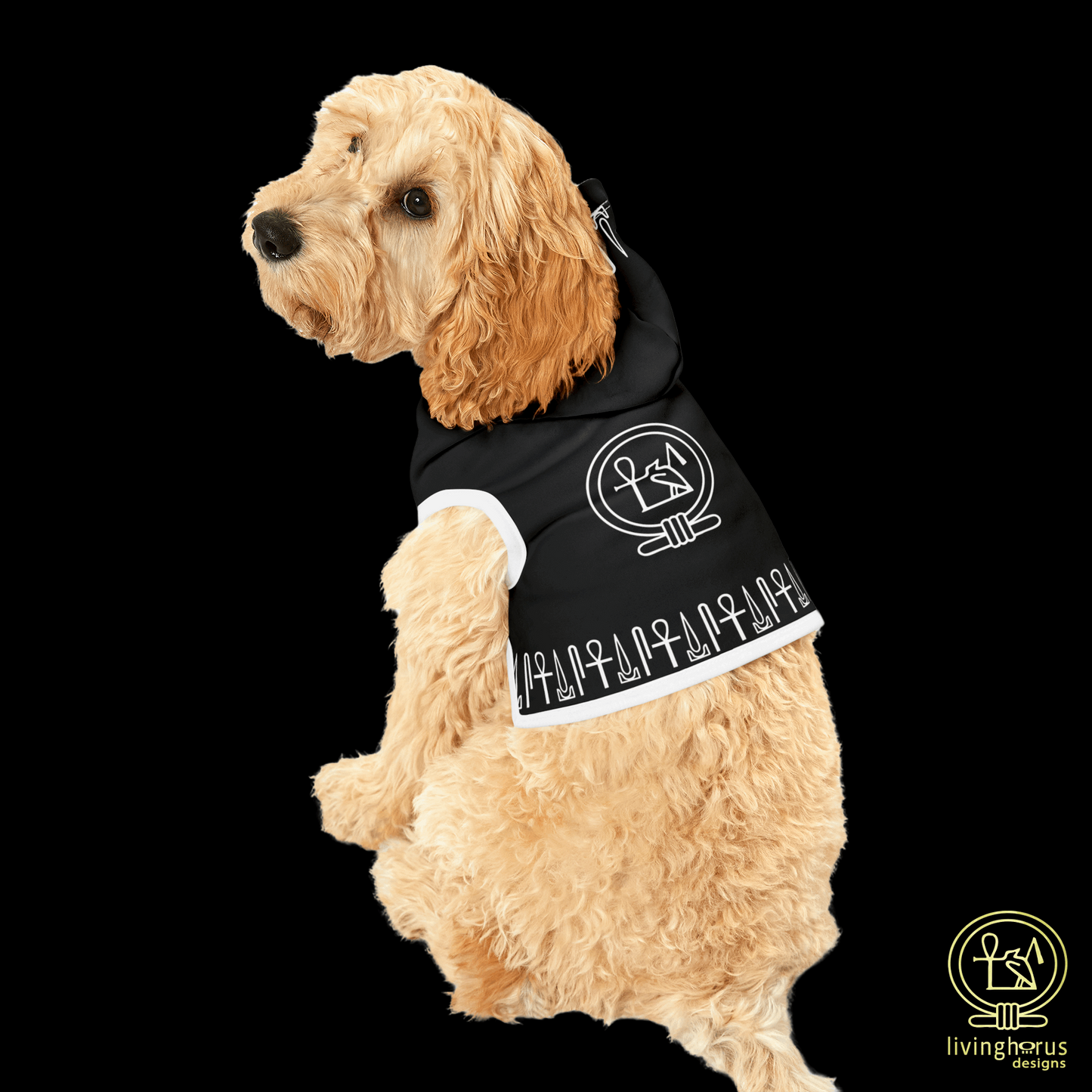 Black Eye of Horus Dog Hoodie