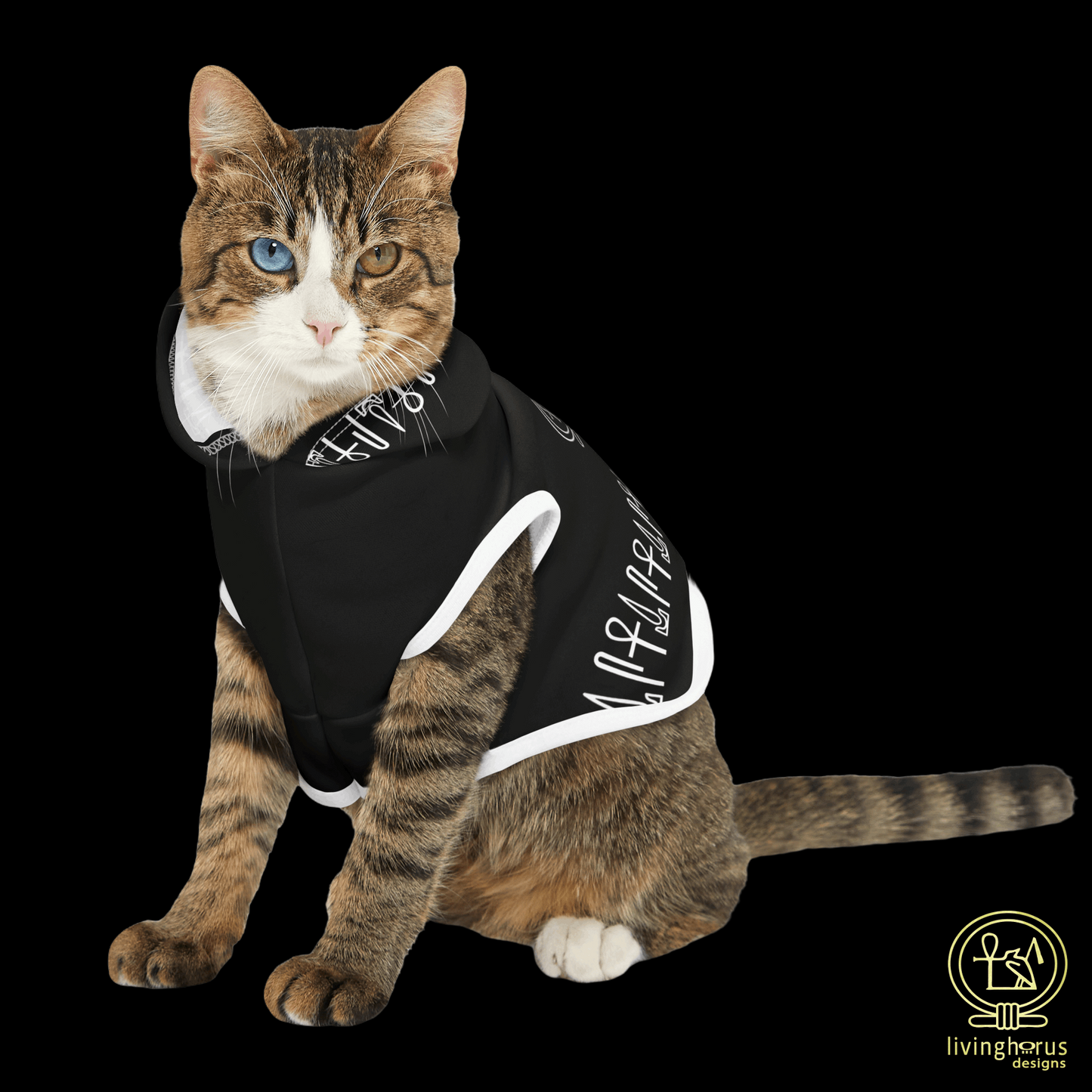 Black Eye of Horus Dog Hoodie