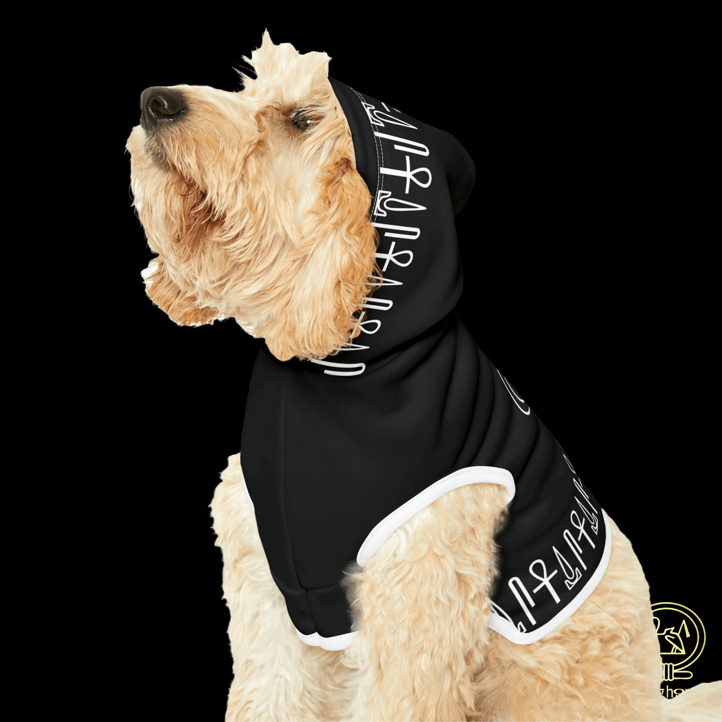 Black Eye of Horus Dog Hoodie