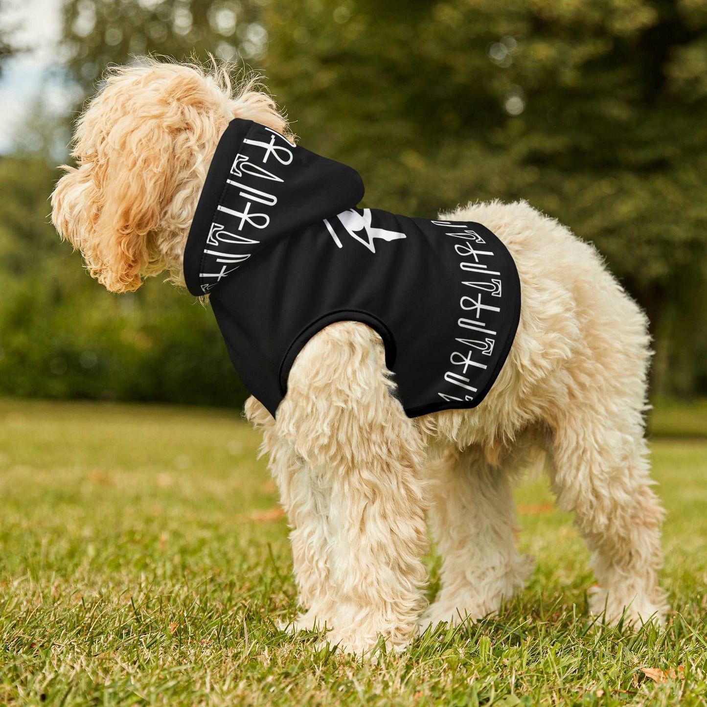 Black Eye of Horus Dog Hoodie
