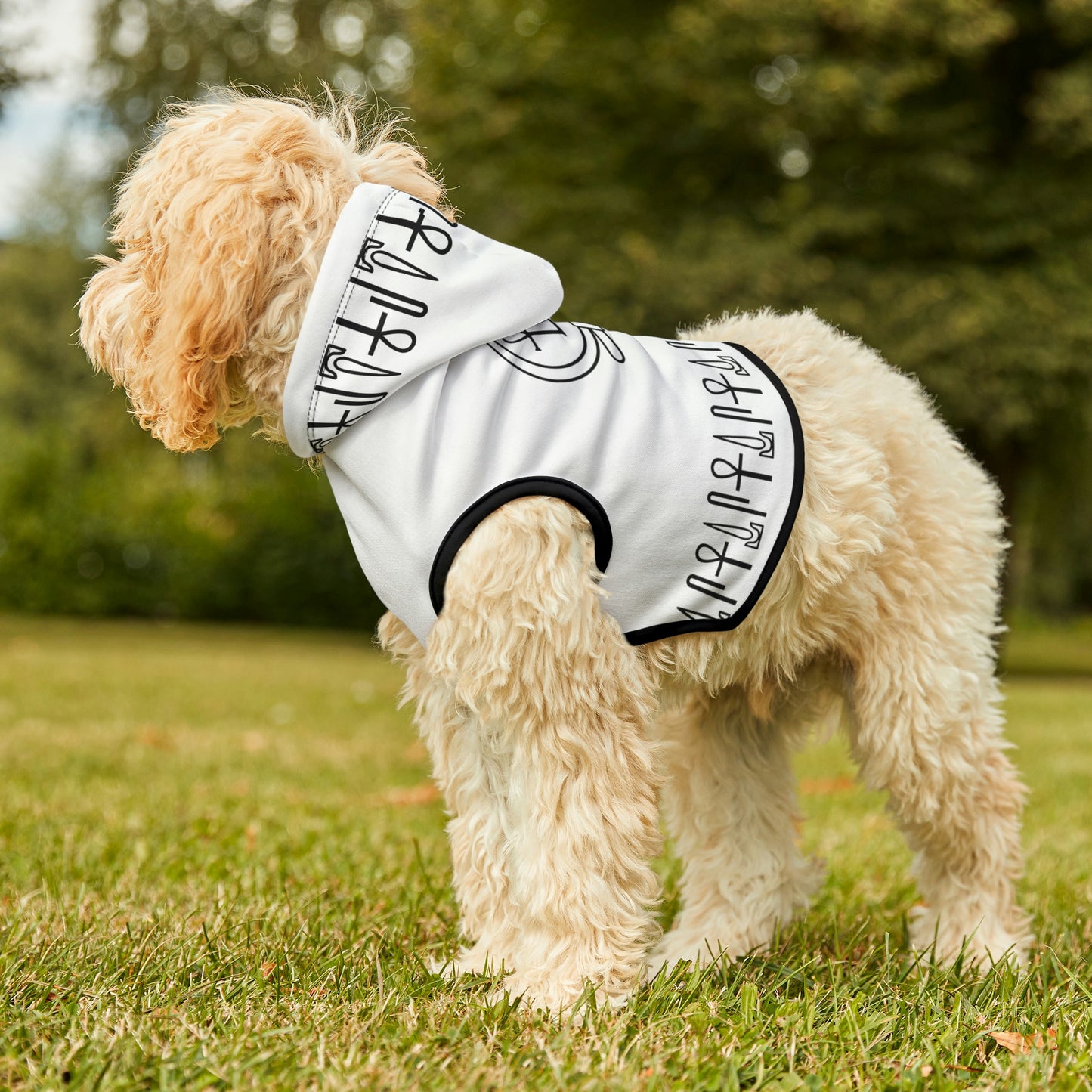 White Living Horus Dog Hoodie