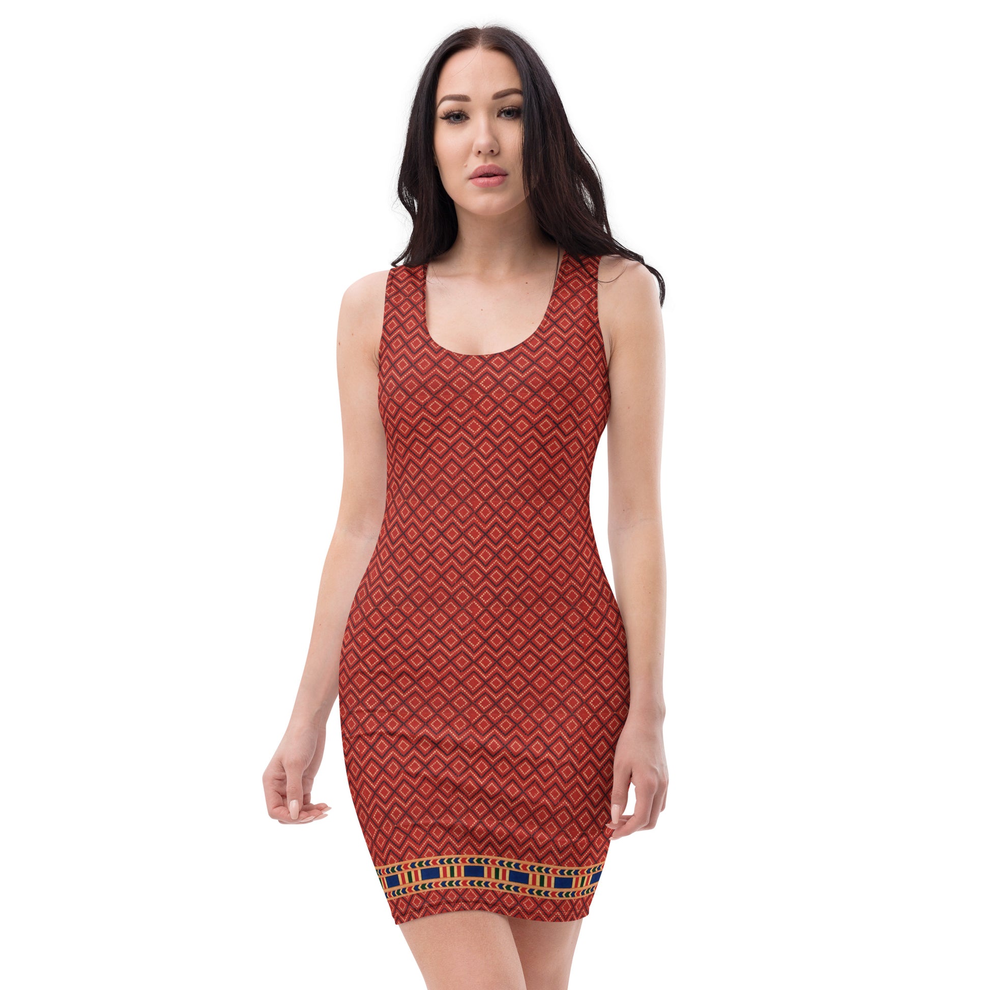 Egyptian Terracotta Pattern Bodycon dress XS
